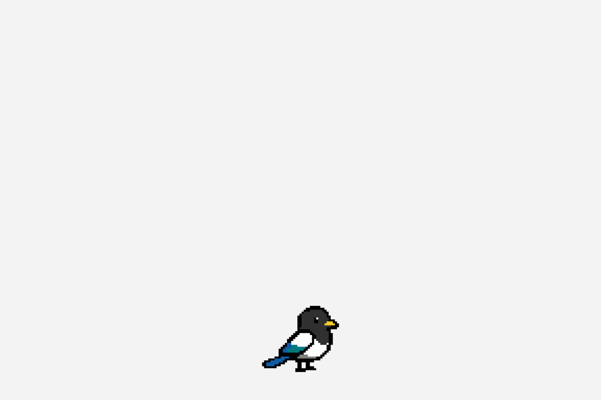 A small pixel-art bird with a black head and body, white wings, and blue tail feathers, standing on a plain light gray background.