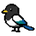 Tiny Magpie - Home